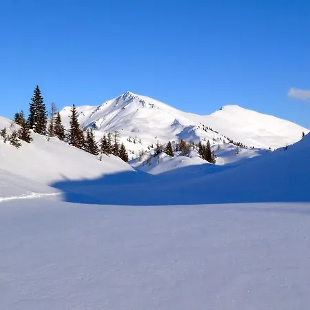 Appartementhaus Unterkofler Апартаменты *