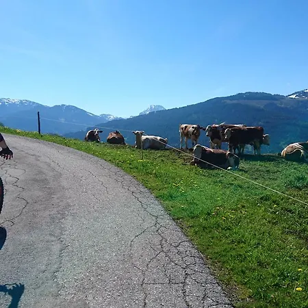 Appartement Appartementhaus Unterkofler