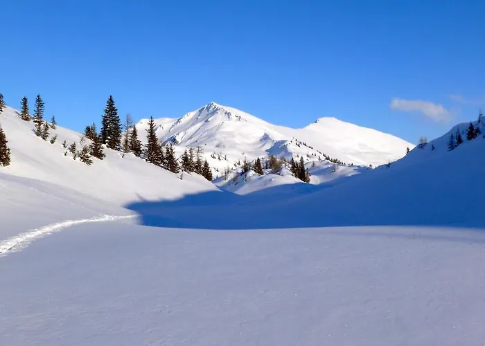 Appartementhaus Unterkofler דירה *