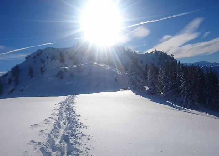 Appartementhaus Unterkofler Grossarl