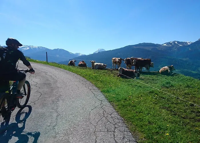 דירה Appartementhaus Unterkofler