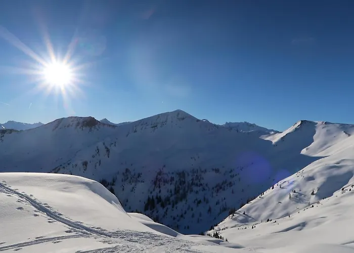 Appartementhaus Unterkofler * Grossarl